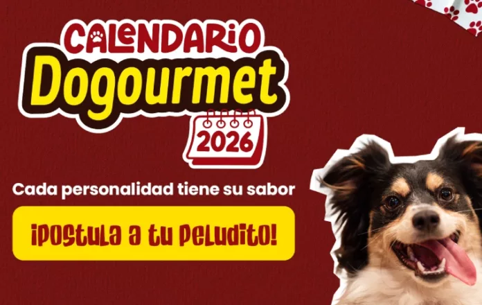 dogourmet-