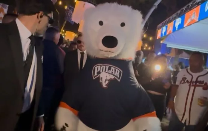 polar-